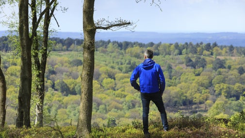 A man stands looking at the far-reaching view, featuring many trees, on the edge of the massive circular depression, the Punch Bowl, at Hindhead Commons and the Devil's Punch Bowl, Surrey